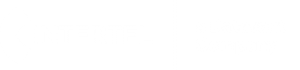 INTERTEL logo